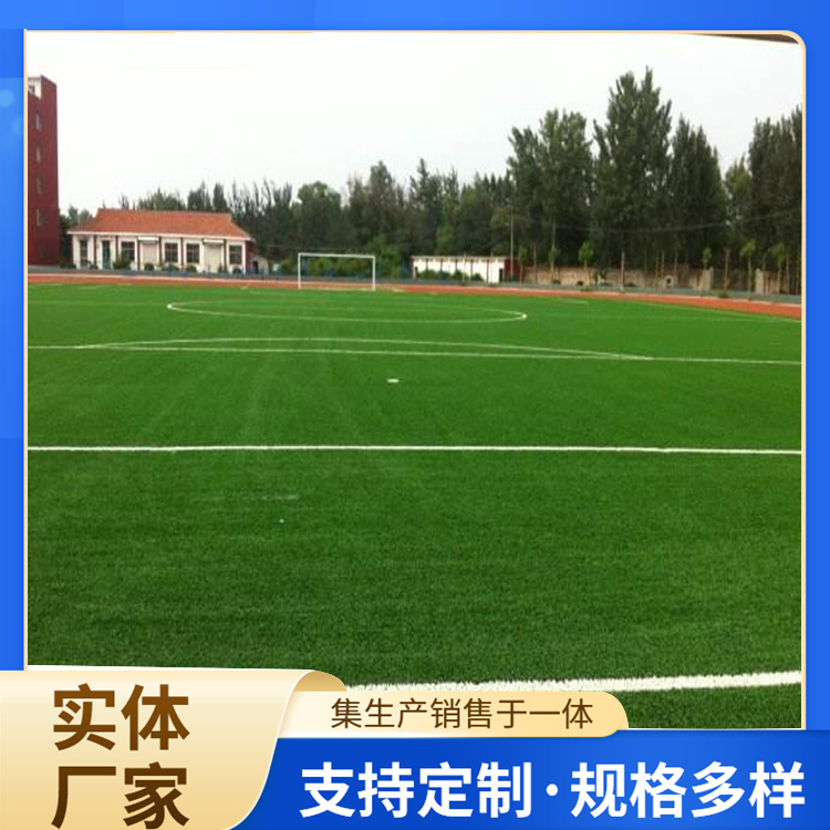 石河子市硅PU人造草坪 - 方案